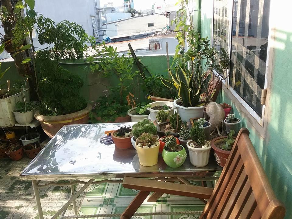 Nha Minh Homestay ダナン市 エクステリア 写真