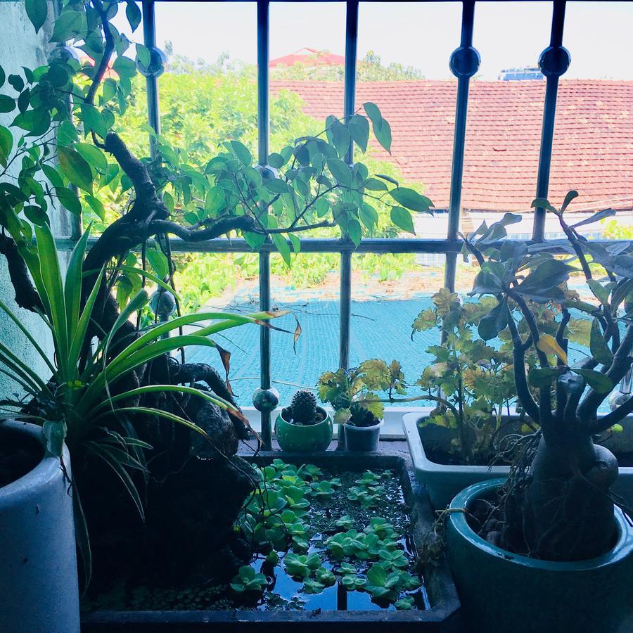 Nha Minh Homestay ダナン市 エクステリア 写真