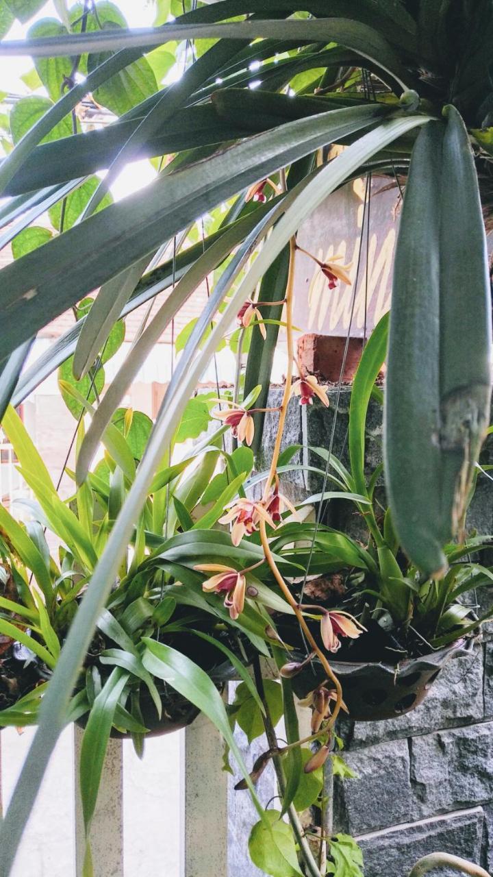 Nha Minh Homestay ダナン市 エクステリア 写真