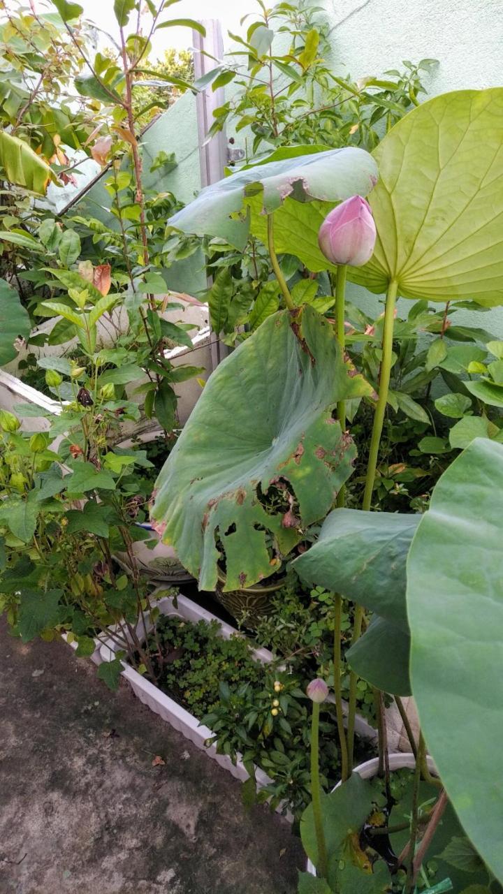 Nha Minh Homestay ダナン市 エクステリア 写真