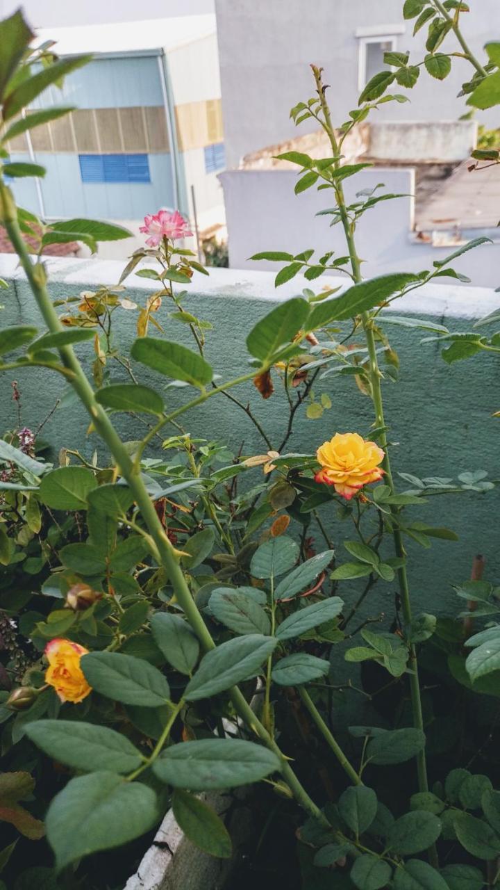 Nha Minh Homestay ダナン市 エクステリア 写真