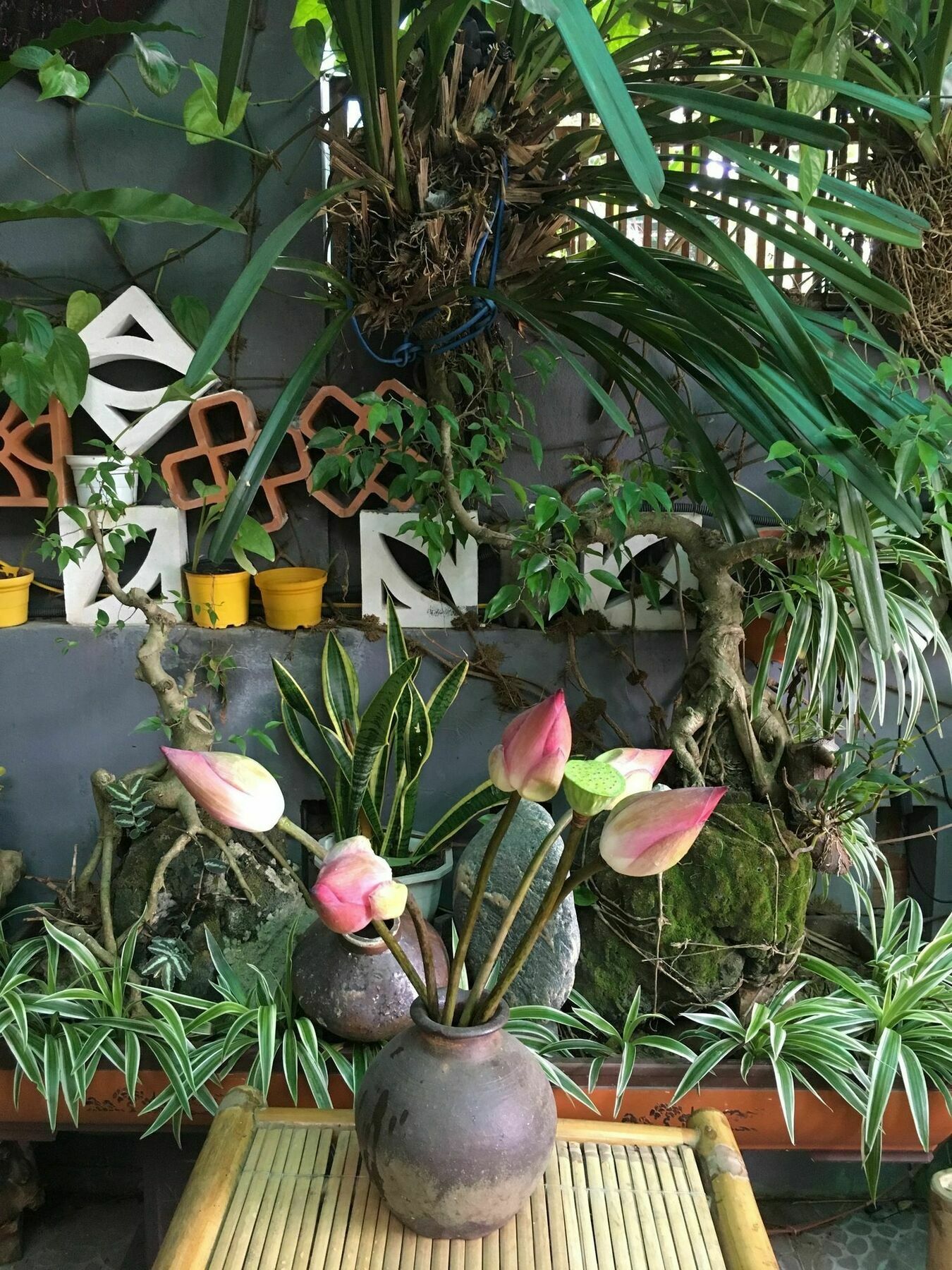 Nha Minh Homestay ダナン市 エクステリア 写真