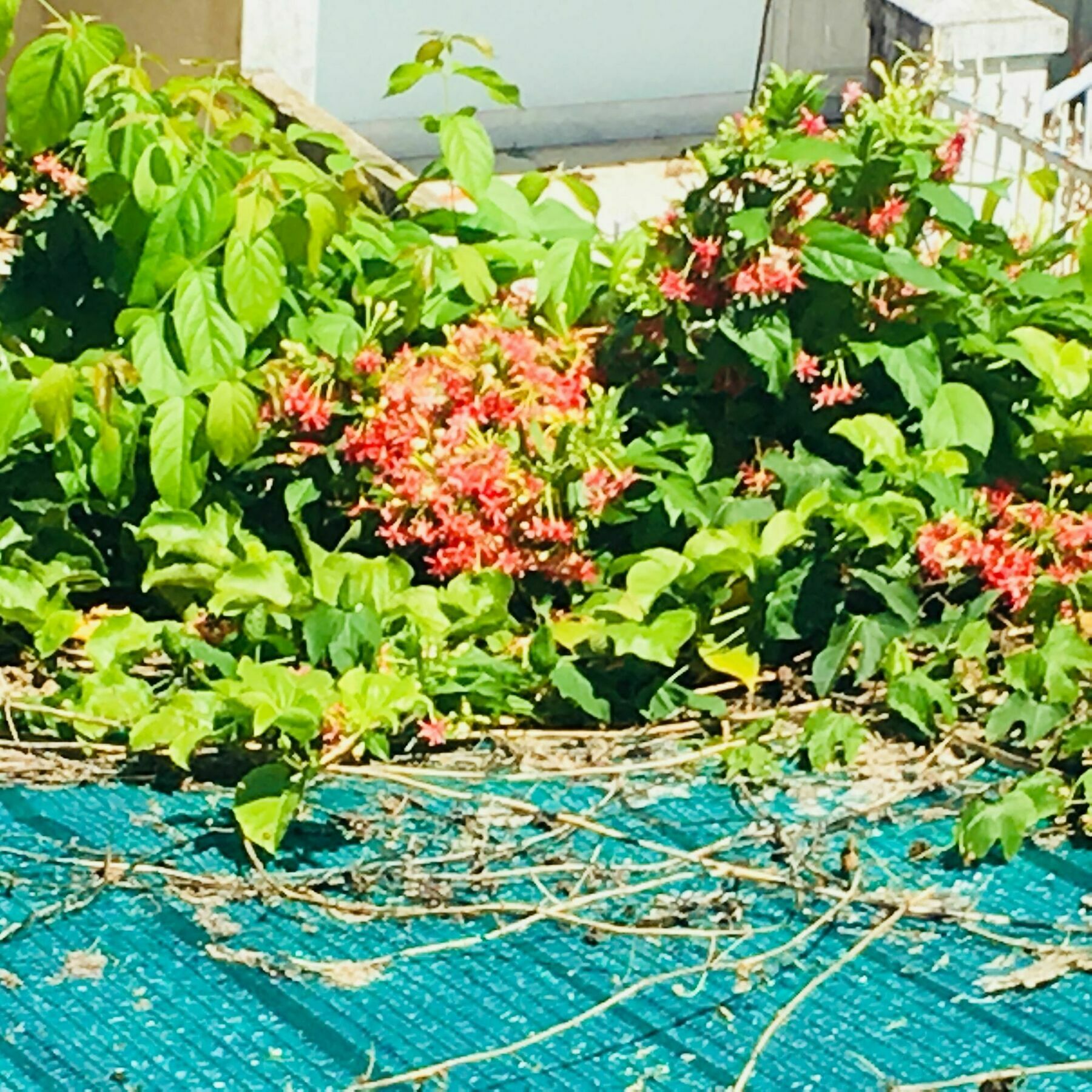 Nha Minh Homestay ダナン市 エクステリア 写真